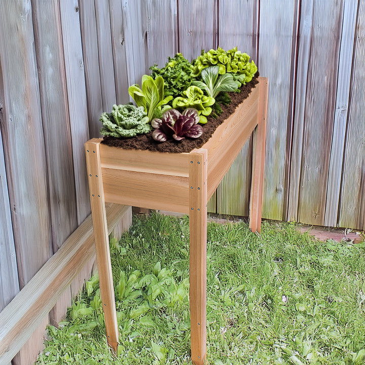 4-ft Cedar Planter Box with Legs RGL12