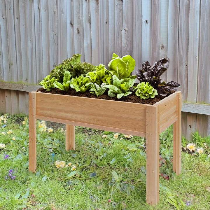 4-ft x 2-ft Raised Cedar  Garden Box with Legs RGL34