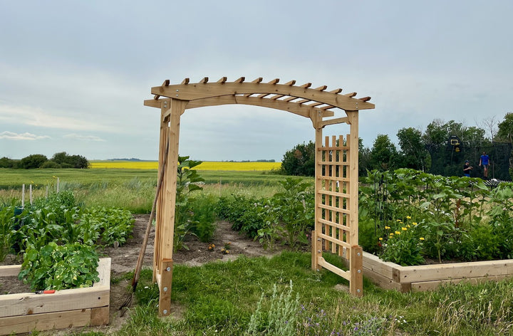 8-Ft Cedar Garden Arbor