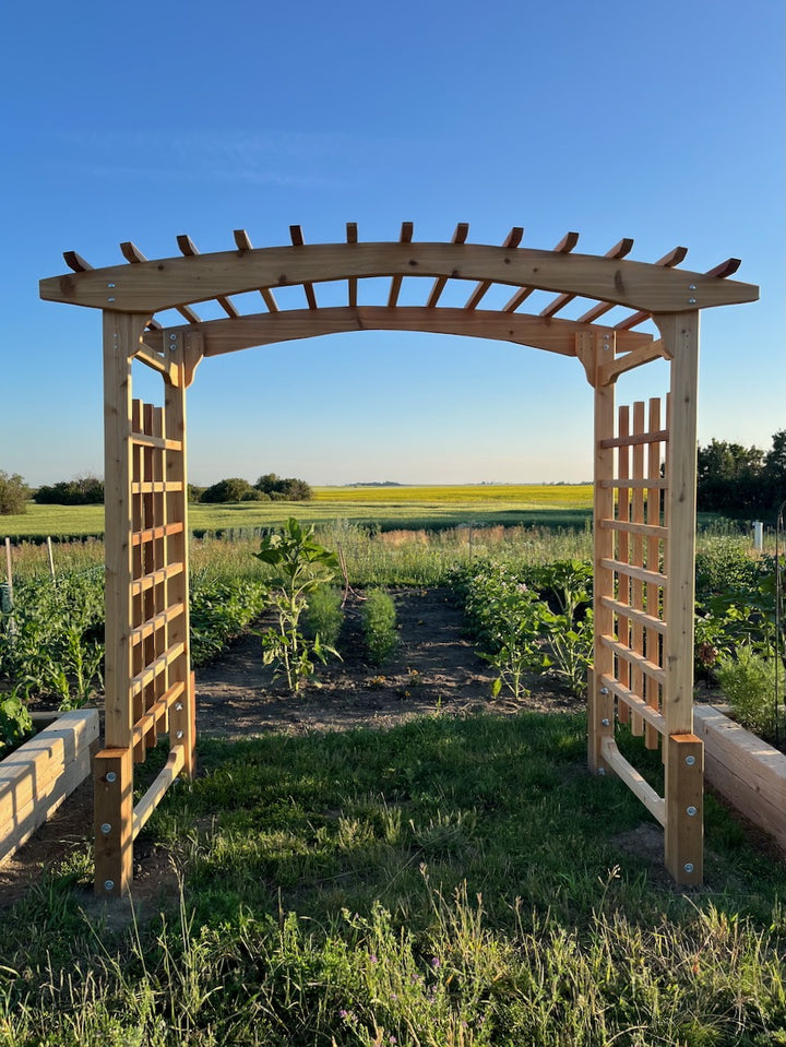 8-Ft Cedar Garden Arbor