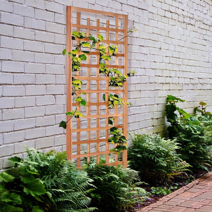 Cedar trellis mounted on a wall with green climbing vines and lush ferns below