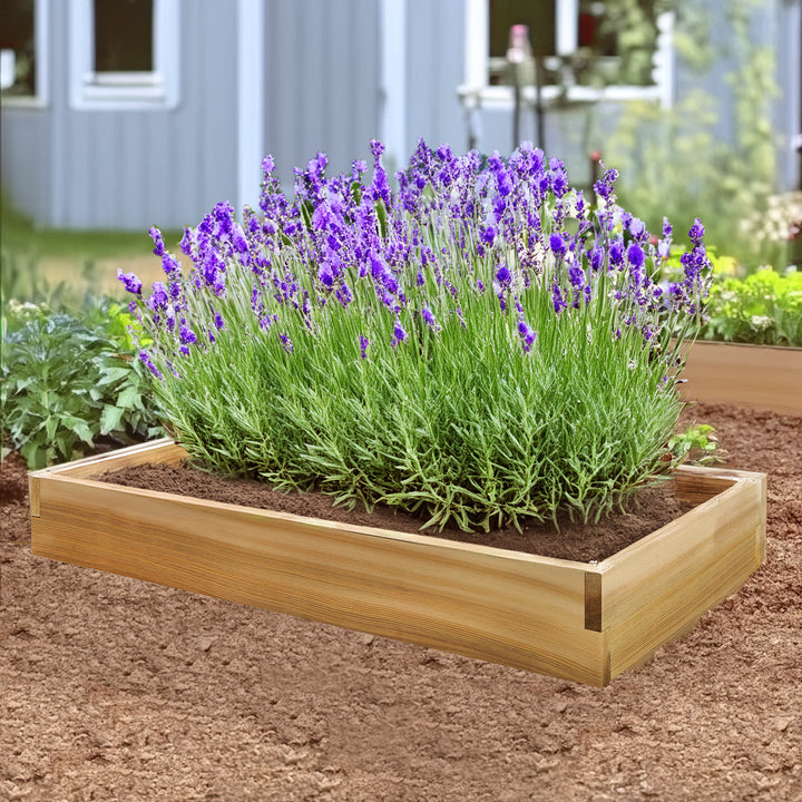 4-ft x 2-ft Raised Cedar Garden Box RG48