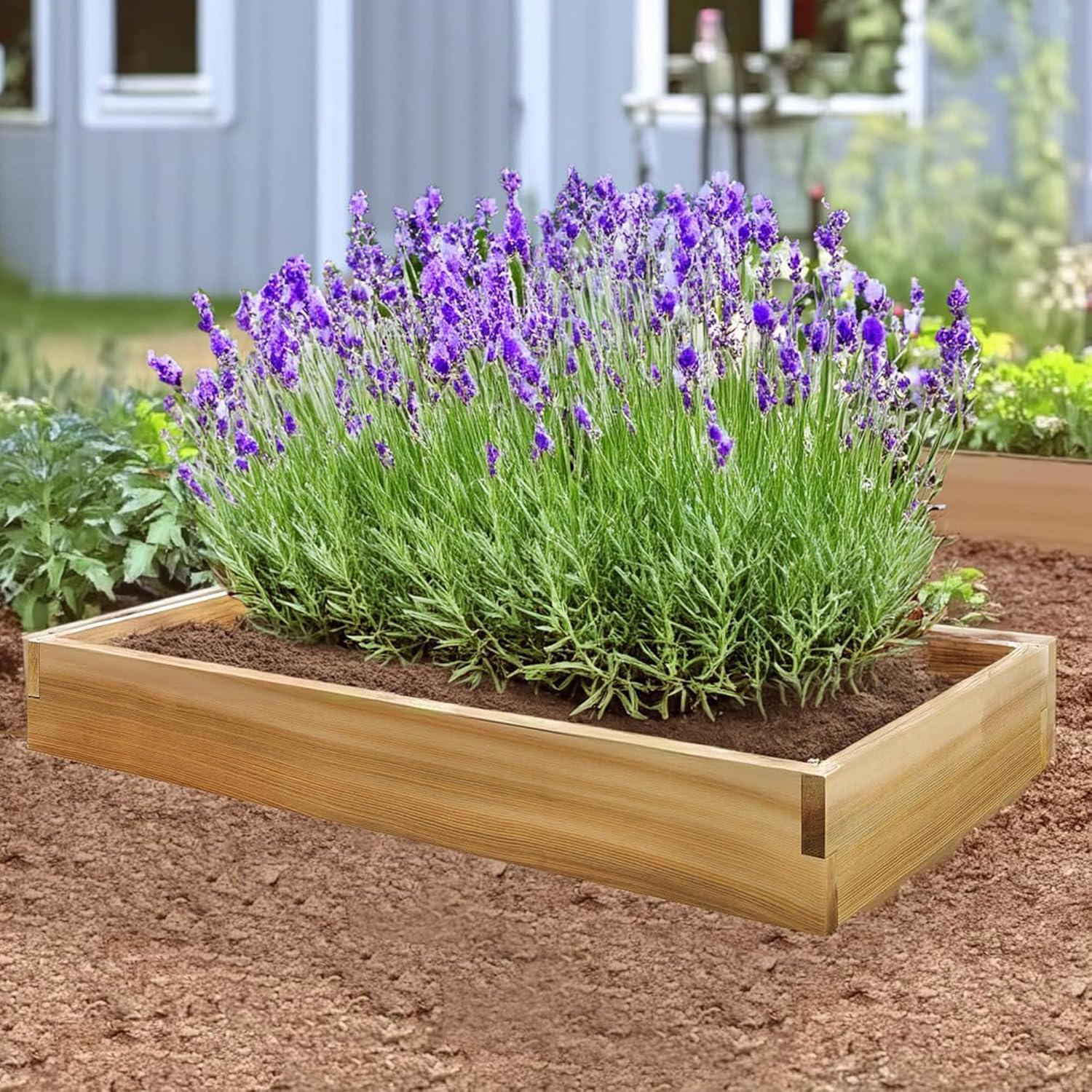 6-ft x 2-ft Raised Cedar Garden Box RG72 – All Things Cedar
