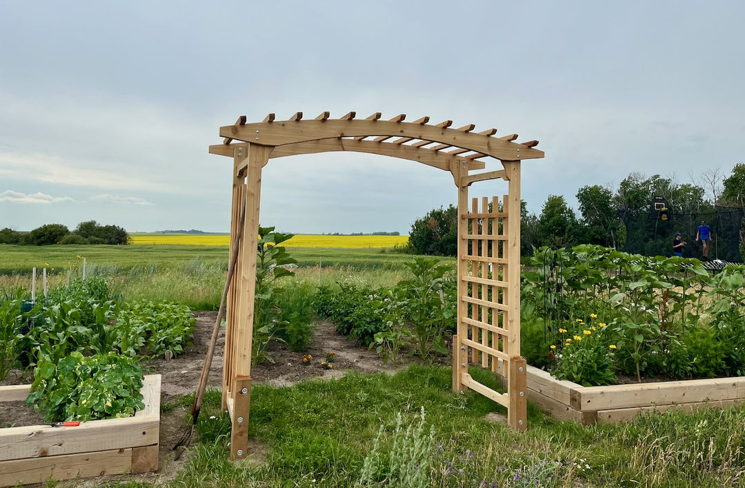 8-Ft Cedar Garden Arbor